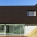 Фасадная панель из ДПК WOODVEX Венге купить в Ростове-на-Дону